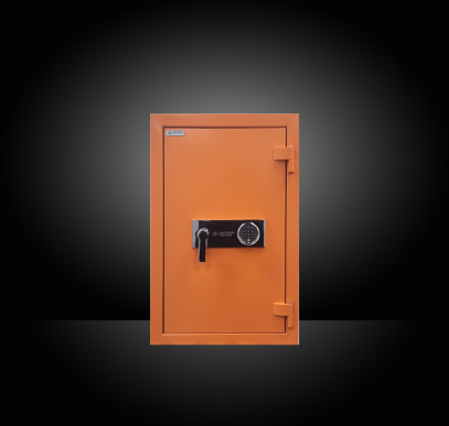 secure luxury watch storage